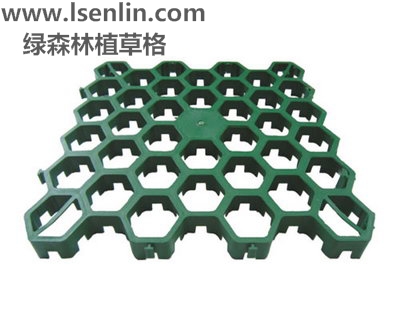植草格(宽底)LSL-638 宽底植草格 LSL-638