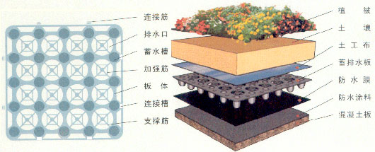 排水板施工示意图