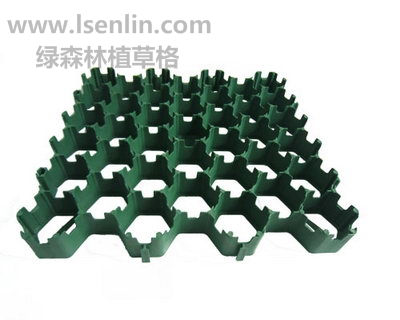 植草格(宽底)LSL-650 宽底植草格 LSL-650