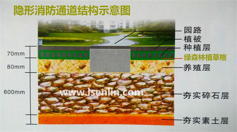 塑料植草格隐形通道结构示意图 塑料植草格隐形通道结构示意图